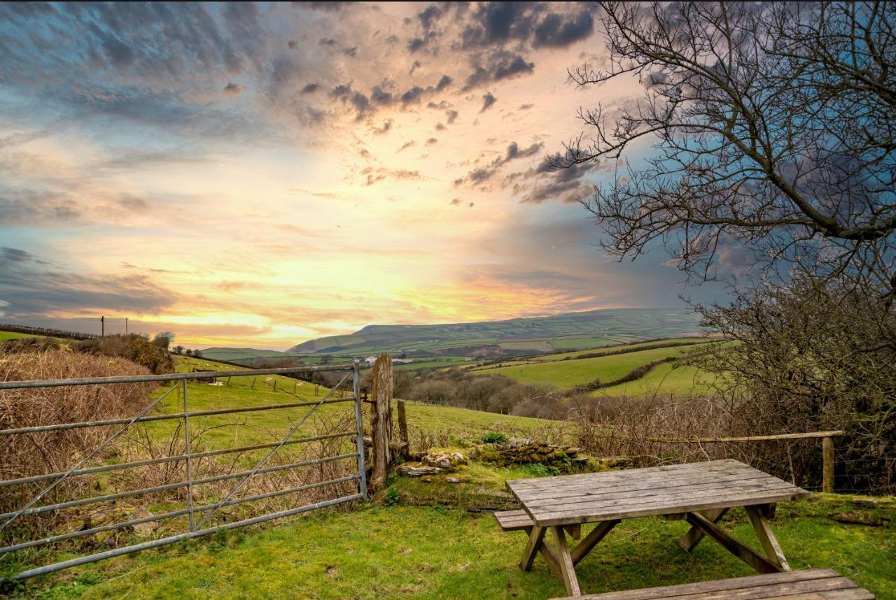 Polrunny Farm Seaberry Cottage With A Sea View And Log Burner Boscastle Ngoại thất bức ảnh