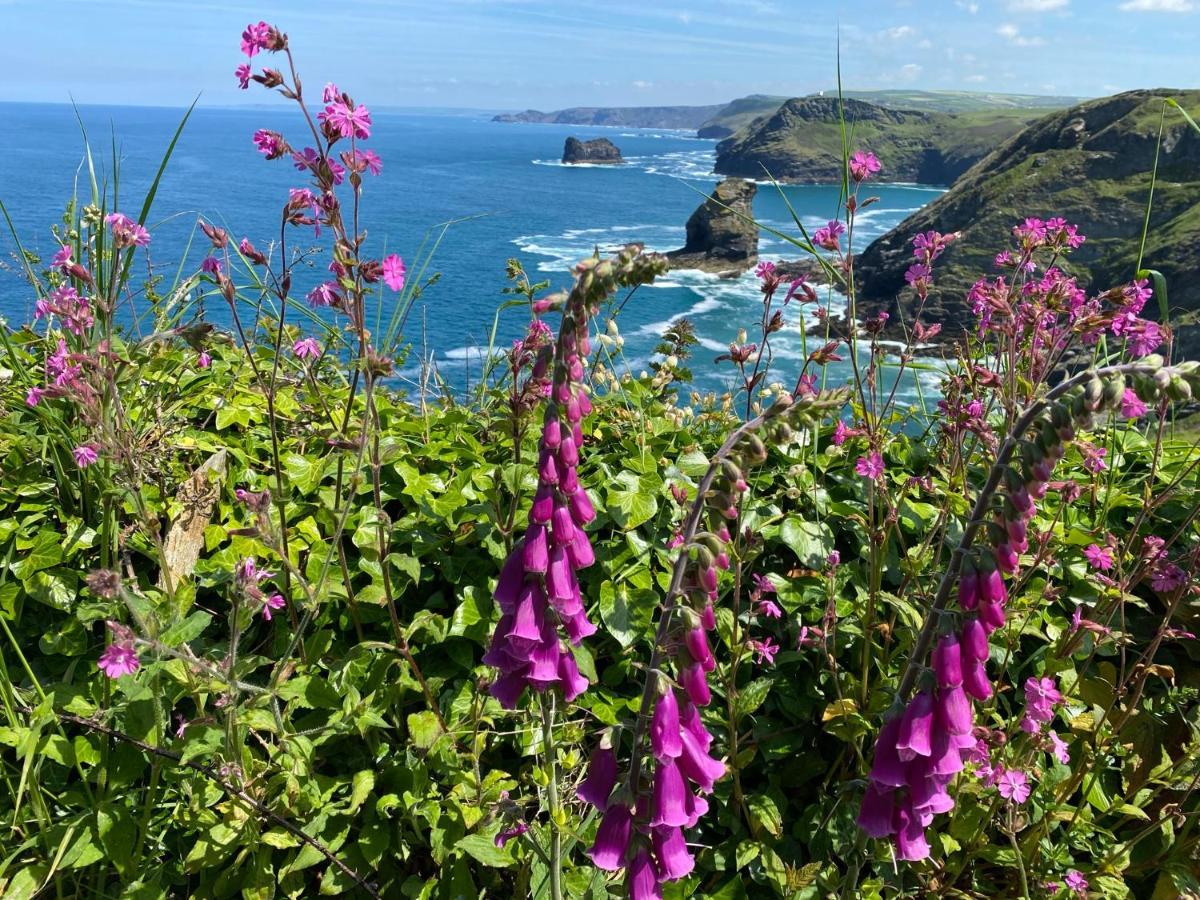 Polrunny Farm Seaberry Cottage With A Sea View And Log Burner Boscastle Ngoại thất bức ảnh