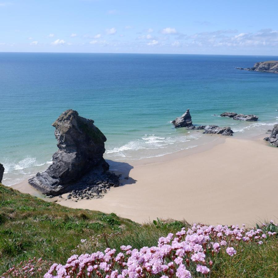 Polrunny Farm Seaberry Cottage With A Sea View And Log Burner Boscastle Ngoại thất bức ảnh