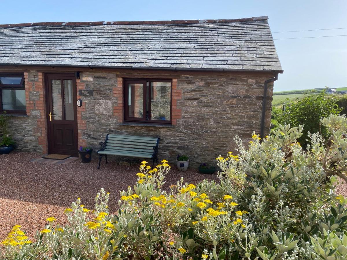 Polrunny Farm Seaberry Cottage With A Sea View And Log Burner Boscastle Ngoại thất bức ảnh